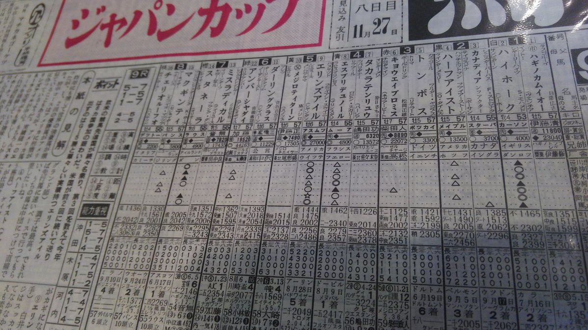 Bm ハギノカムイオー メジロティターン アンバーシャダイ の出たジャパンカップの競馬新聞