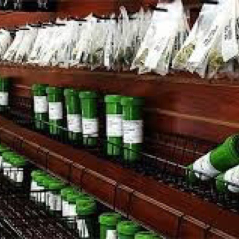 <a href="/420digitalmedia/">420 Digital Media</a>
420 Digital Media is a full-service Boutique Marketing, Management, SEO &amp; Website Design Agency for the Cannabis Industry. 420 Digital Media. We Grow Brands. 420digitalmedia.com
weedmaps.com