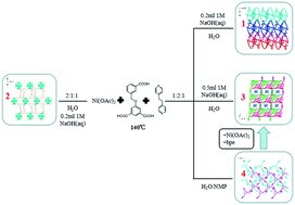 shop abl family kinases in development and