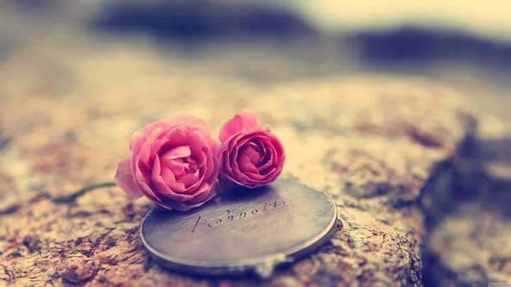 noorl_lmoswy's tweet photo. "أي شخص يَضعُ ثِقْتَه بِكَ فأنت مَدين لَه بالكثير" https://t.co/Lr1I78Gviv