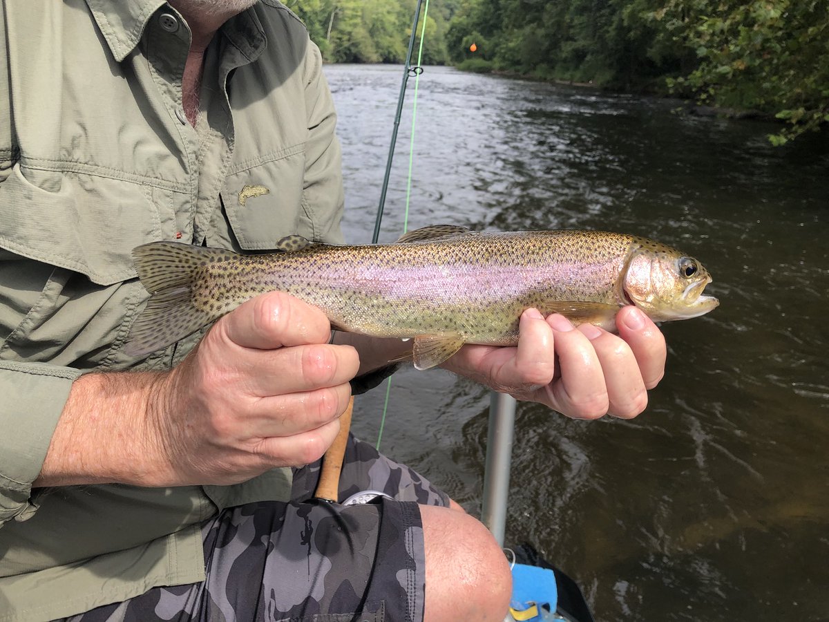 HookersFlyShop's tweet photo. Float trips are still producing good fish and decent numbers even into the late summer.  We have had excellent water flows all year.  Come float with us.  828-587-HOOK https://t.co/G6paM5SV8A