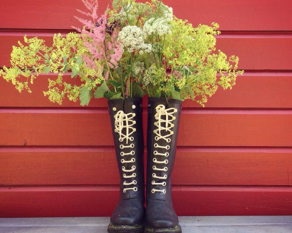 Riamolde's tweet photo. Happy rainy day at the cabin! #loverain #visitnorway #alternativeuse #happyfeet #happysunday #workdone https://t.co/tggy0x08S8