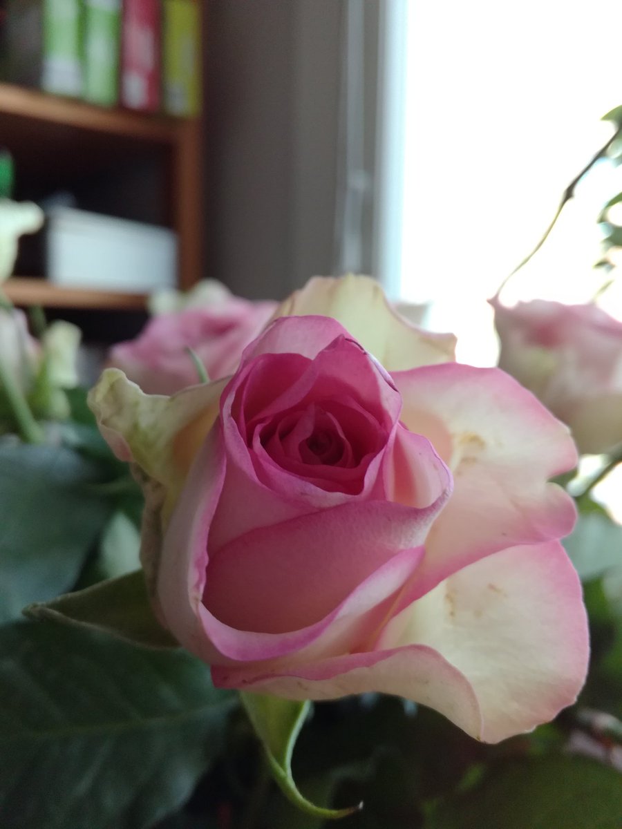 IsoVihreaMies's tweet photo. Eilen oli tyttären #protu juhla. Juurihan vaihdoin vaippoja ja nukutin sylissä, nyt 15, 9.luokka... #lapset #mihinaikamenee #onneksiviksumpikuinisä https://t.co/OhcpyLWk8r