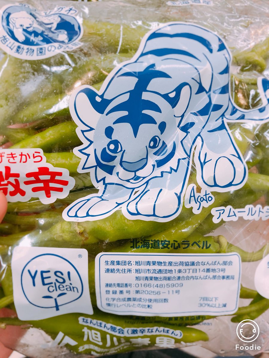 たまには料理研究家らしい投稿を、、笑
夏は北海道の郷土料理、保存食の三升漬けを作ってます！
旭川産の激辛の青唐辛子と米麹、醤油のみの無添加で雑菌に気をつけたら何年も保存できます！
ただ美味しすぎて毎年無くなります笑