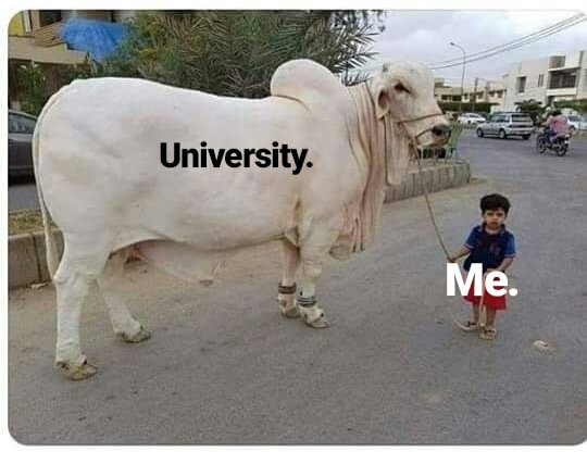 AreeIhsan's tweet photo. You feel me? https://t.co/0NL5xpnUMA