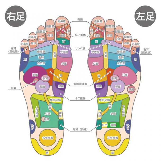 足ツボのtwitterイラスト検索結果 古い順