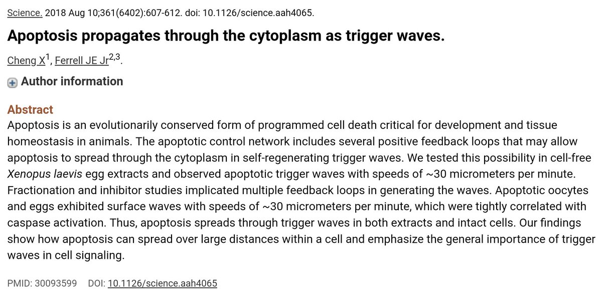 kimalbers's tweet photo. @JoannaKaze @annabel_lea Always find the original article! They investigated frog eggs; if they die, how fast does the 'first signal' spread across the rest of that one tiny cell, apparantly in a wave at 30 micrometers per minute 😉 https://t.co/j0tlyeX6oD