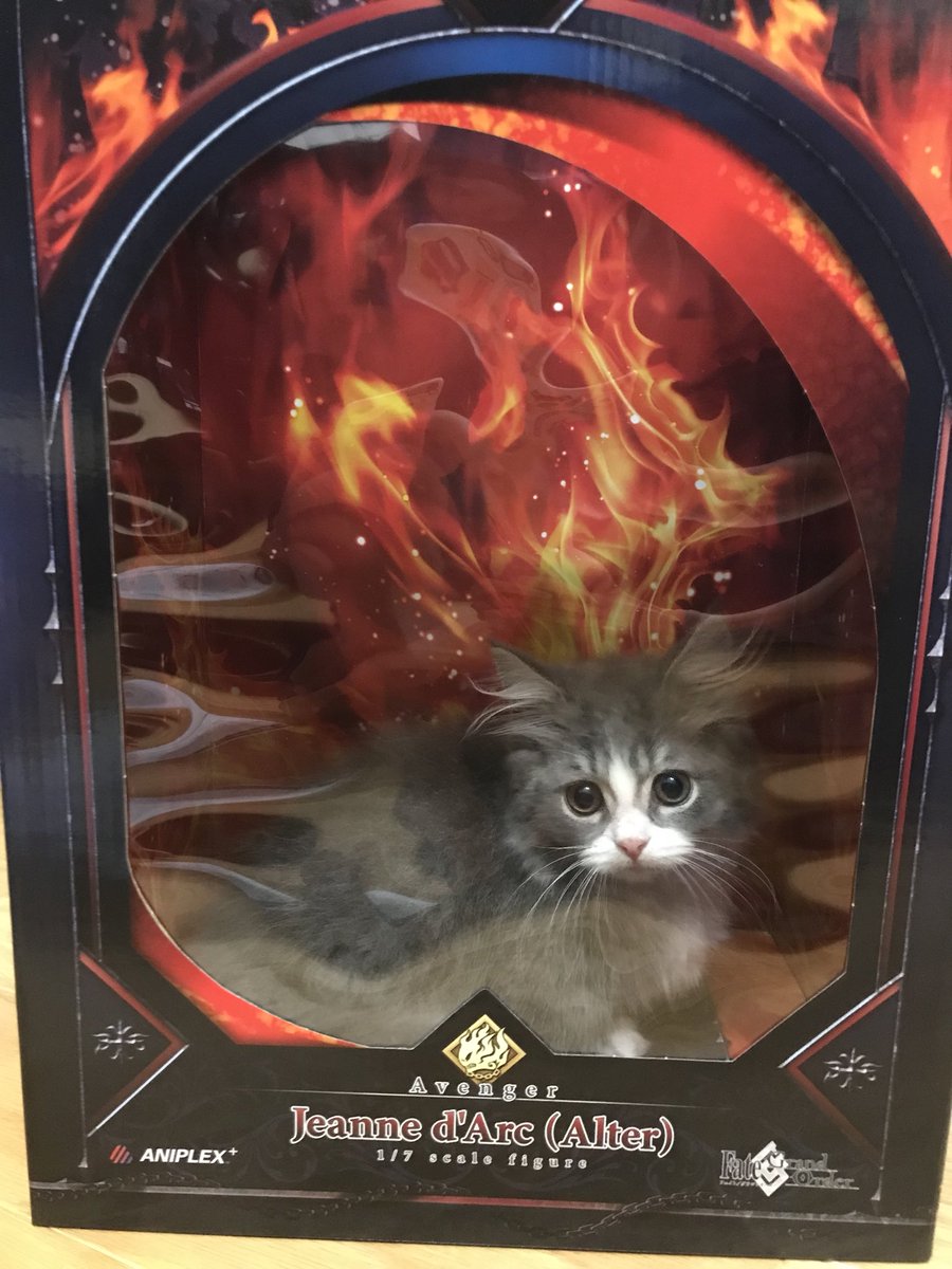 SoDo22d's tweet photo. アベンジャー
ジャンヌダルクオルタ#FGO https://t.co/G6rhODpc2H