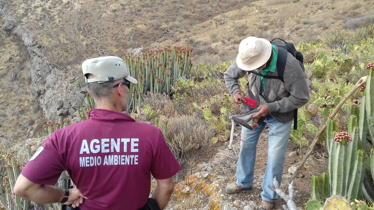 AFMACANCanarias's tweet photo. Los #AgentesdeMedioAmbiente de #Canarias están obligados a cumplir y hacer cumplir las disposiciones de la normativa de #caza.

Supone una infracción el dificultar la inspección del buen orden cinegético o negarse a mostrar el morral, la munición o la documentación reglamentaria. https://t.co/mZHpw7GViS