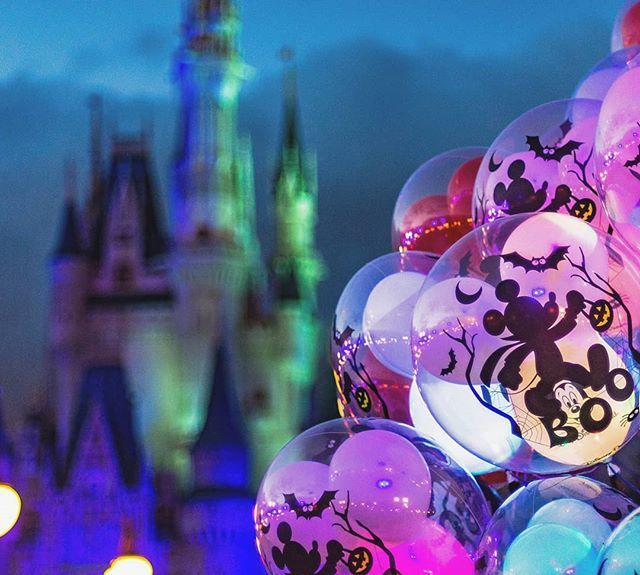 DizDadOfficial's tweet photo. Love stepping out of the house to some nice Fall weather!
Yea, that hasnt happened yet.. but MK is decorated, so at least there's that!
Welcome to my fave time of year!
•
•
•
#MouseMagicWithTheMoores #WaltDisney #Disney #WaltDisneyWorld #DisneyWor… https://t.co/FvhkkIRFmT https://t.co/CGbNP11yK5