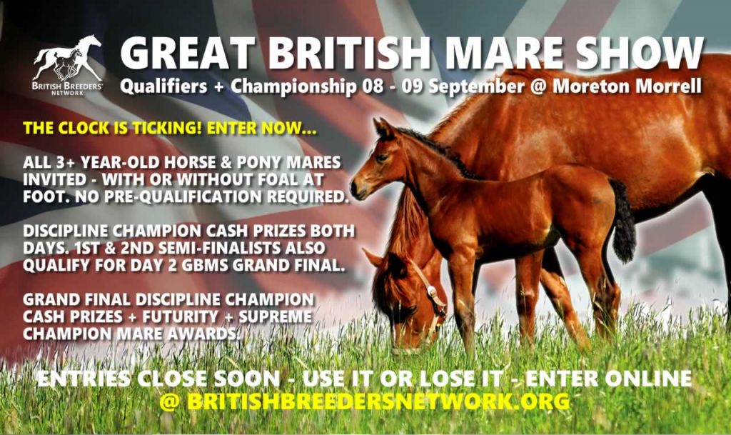 Enter the 2018 GB Mare Show NOW! - britishbreedersnetwork.org/enter-2018-gb-…
