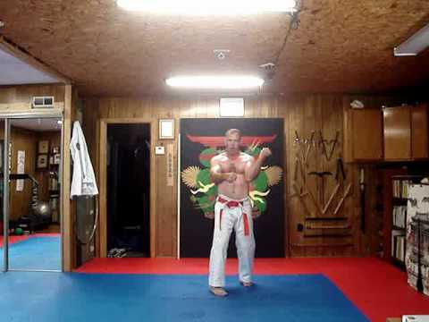 Fighting_Styles's tweet image. Kata Sanchin.wmv martialartsmasters.org/kata-sanchin-w… #shuriryu #martialarts