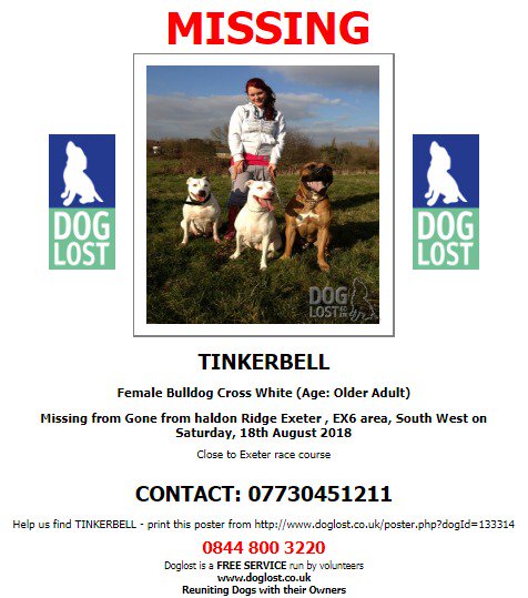 Ex6 Hashtag On Twitter