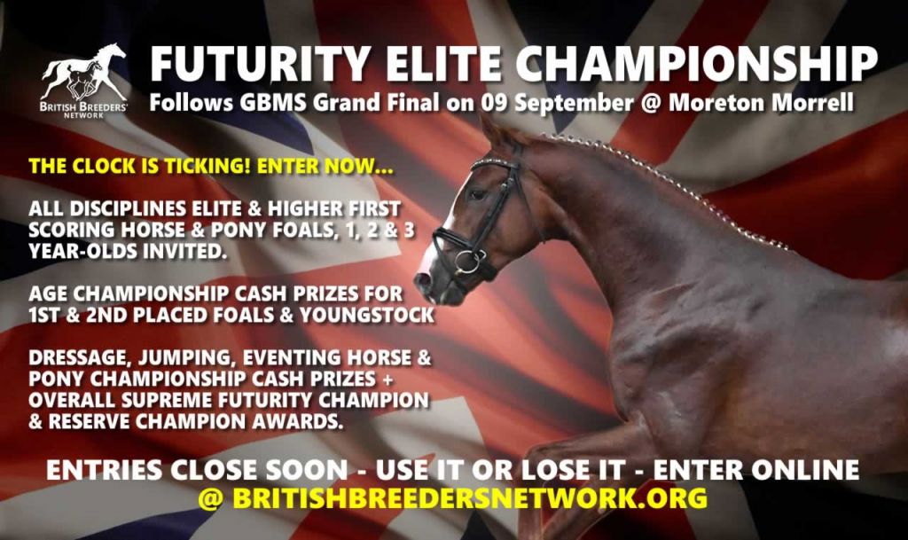 Enter the 2018 Futurity Championships NOW! - britishbreedersnetwork.org/enter-2018-fut…