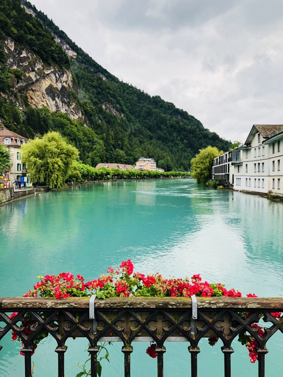 EK424_'s tweet photo. الصمتُ في حرمِ الجمالِ جمالُ 💚

نهر الآر ، انترلاكن ، سويسرا 🇨🇭
Aare river, Interlake, Switzerland

(July, 2018) https://t.co/Ph1lBQd65g