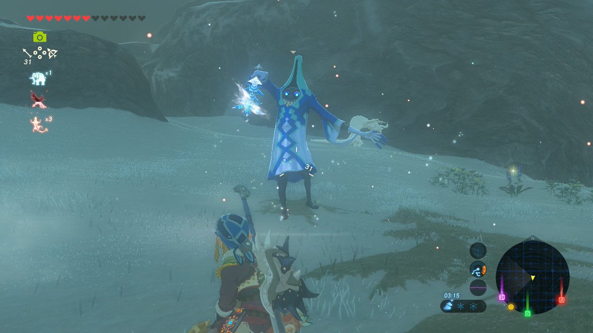 #BreathoftheWild #NintendoSwitch
