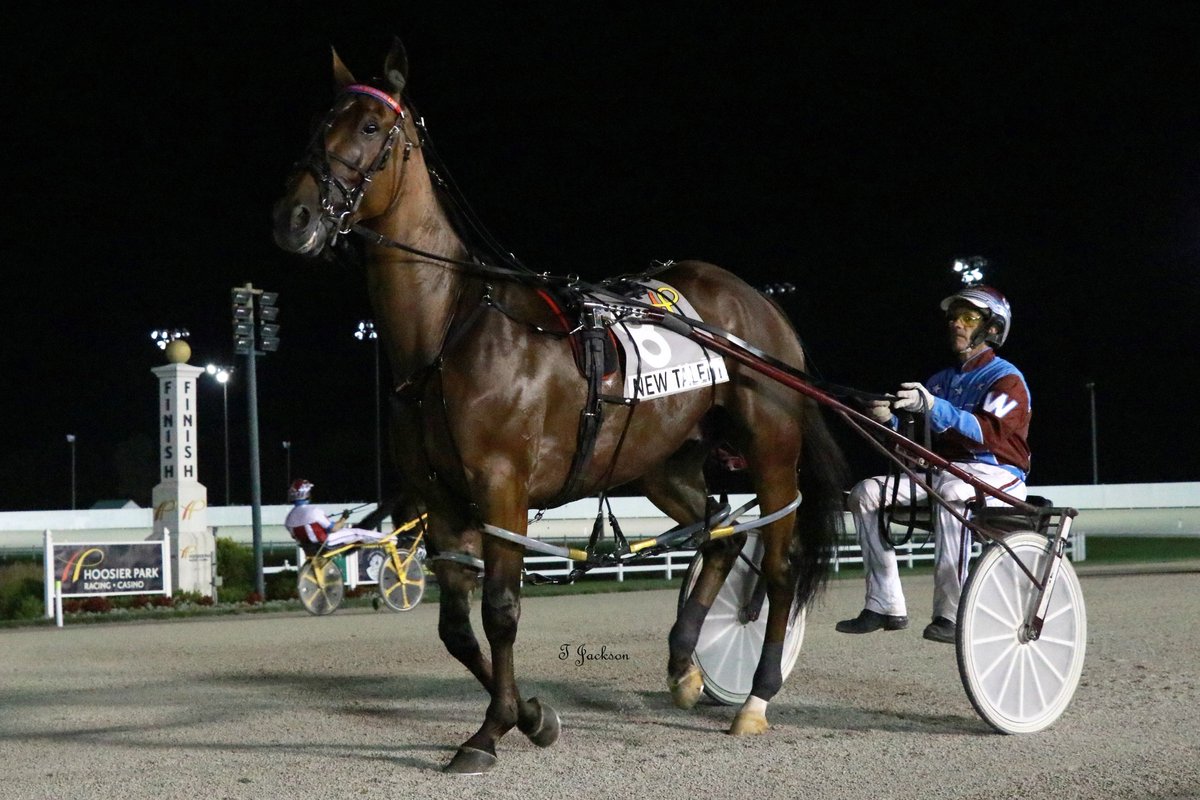 hoosiernations's tweet photo. GoodMorning @Chris_wponies @JoannKi32885615 @rebelsart @jtlburn @kimberlymoier @dolenski_john @vnssa926 @KathleenBaitzel @blongphee67 @SadandSulk @HoP_Racing #NewTalent #SamWidger #Patch25 #PlayHP https://t.co/8PQCzZwC1D