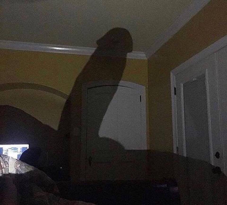 yupitsmealright's tweet photo. I still see your shadows in my room https://t.co/4ZdMlaaxxc