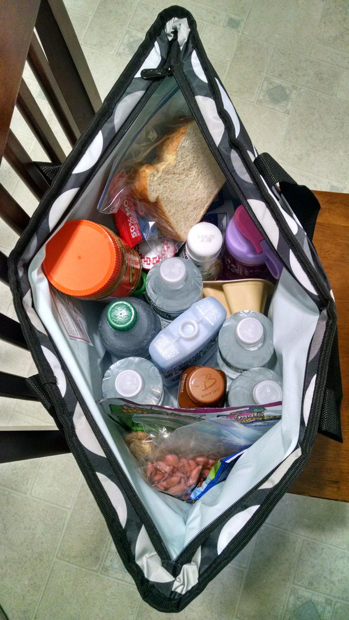 tote ally thermal