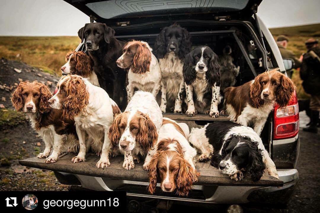 Jill Grieve tweet media