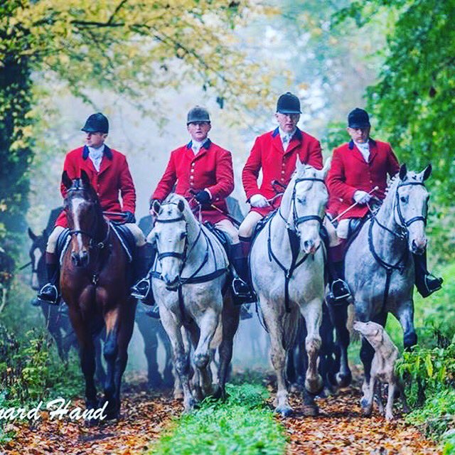 Jill Grieve tweet media