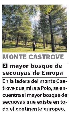 bosquedecolon's tweet photo. Este domingo en @lavozdegalicia recordan que ¡tamén hai turismo máis aló da praia! e en Poio destacan o #BosqueDeColón, a maior plantación de secuoias de Europa. Ven ó #Castrove!
https://t.co/zE47tlYCsx https://t.co/BiIRkweWSs