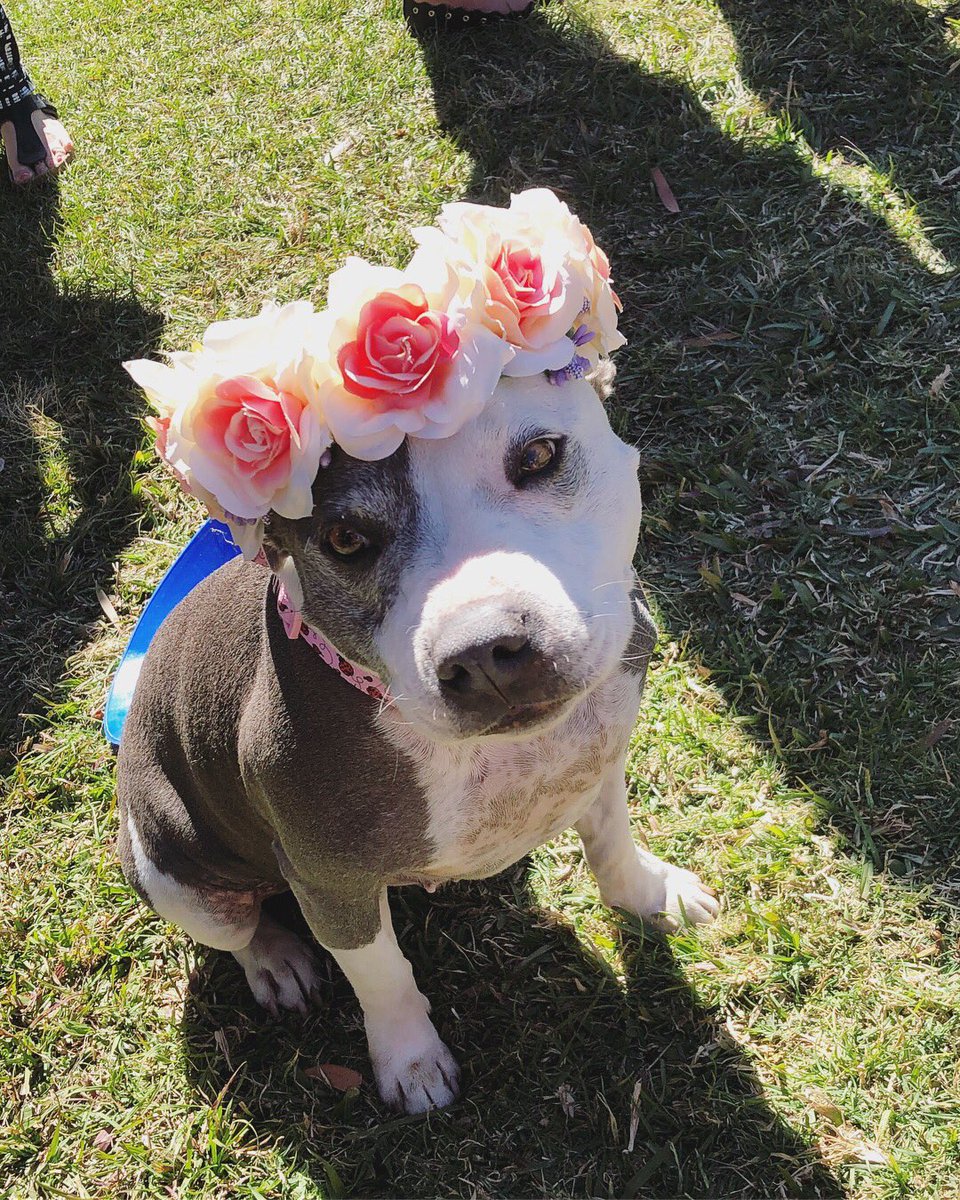 Keely__Anne's tweet image. Found the prettiest girl in the park 🌸