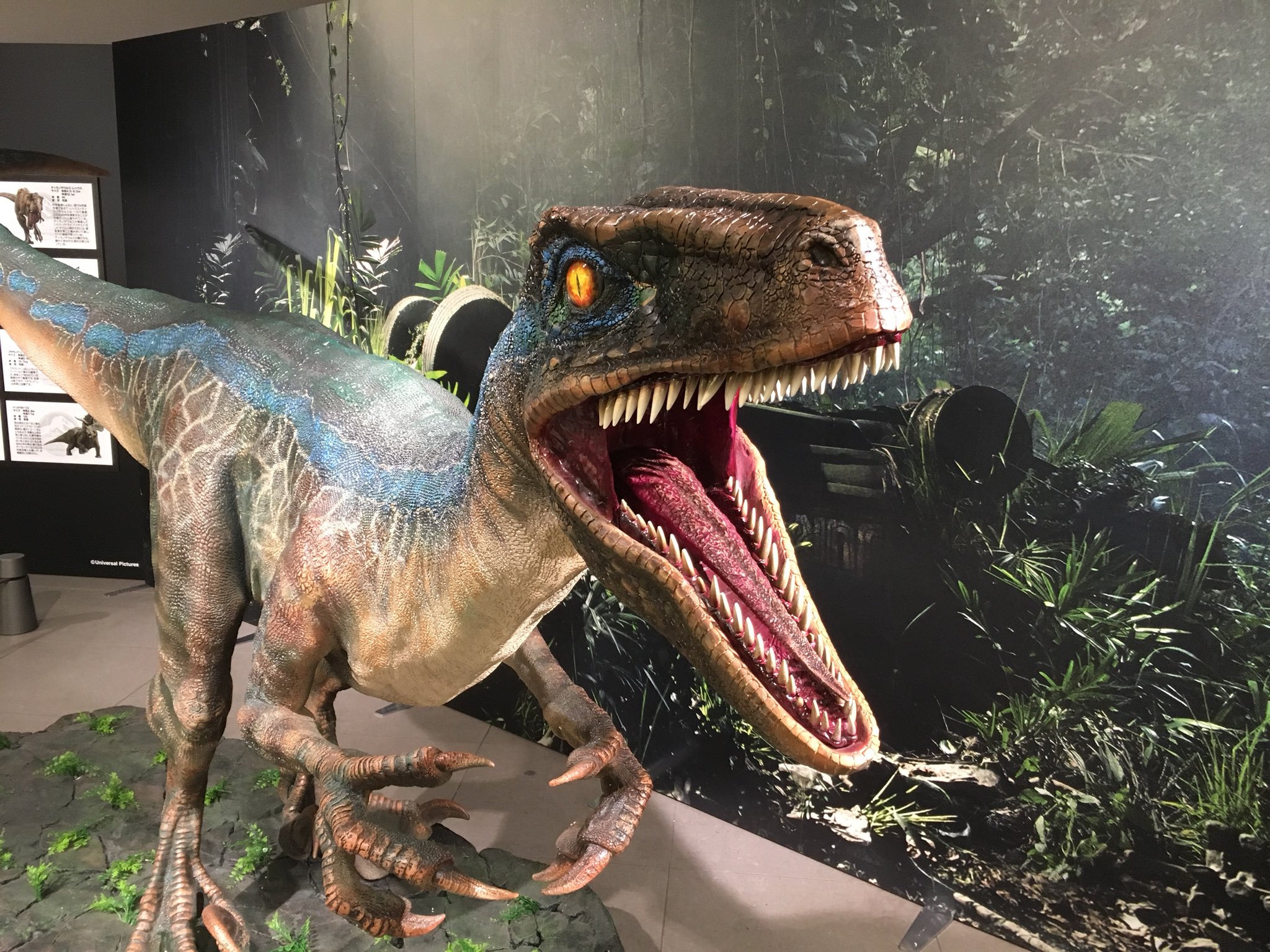 Twitter 上的 リオ オフィスclip 先日 ジュラシックパーク一気見からのジュラシックワールド展示会へ ブルーに齧られた 明日8 月 00 の17ライブ リオランド では最近ハマってる映画とワンピースの話でも 音宴たのしみだ T Co