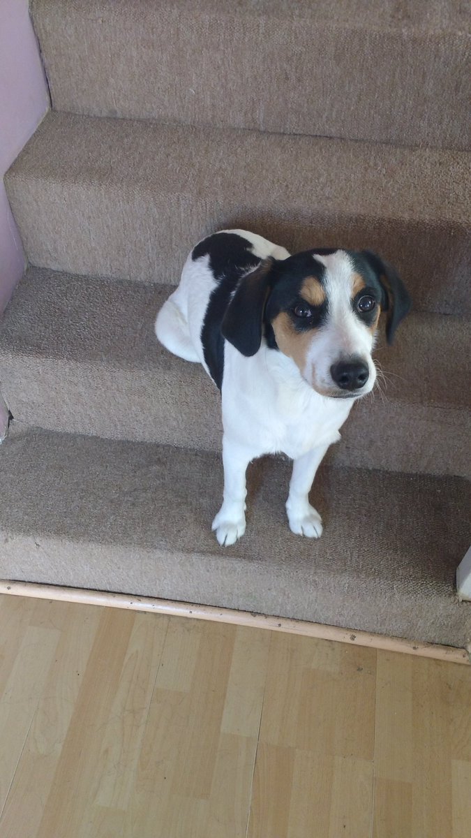 ManosChilotas tweet media