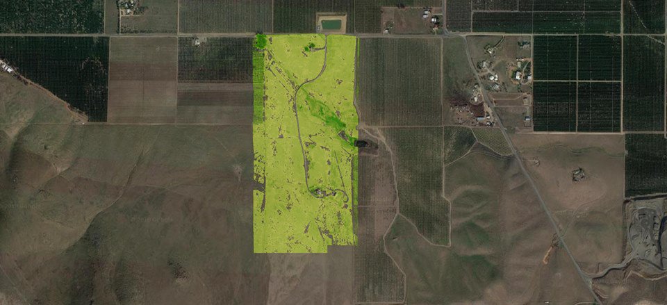 AerohawkTech's tweet image. Classify and calculate #vegetation with the Aero Hawk Maps 2D #Software .