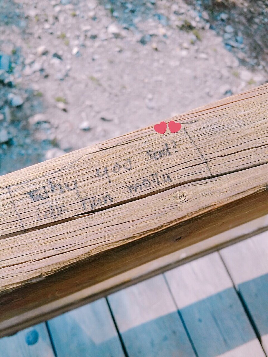 bee_jihoon's tweet photo. anche sulle montagne in canada ci sono tanti intellectuals @BTS_twt https://t.co/5r1Jhpigt8