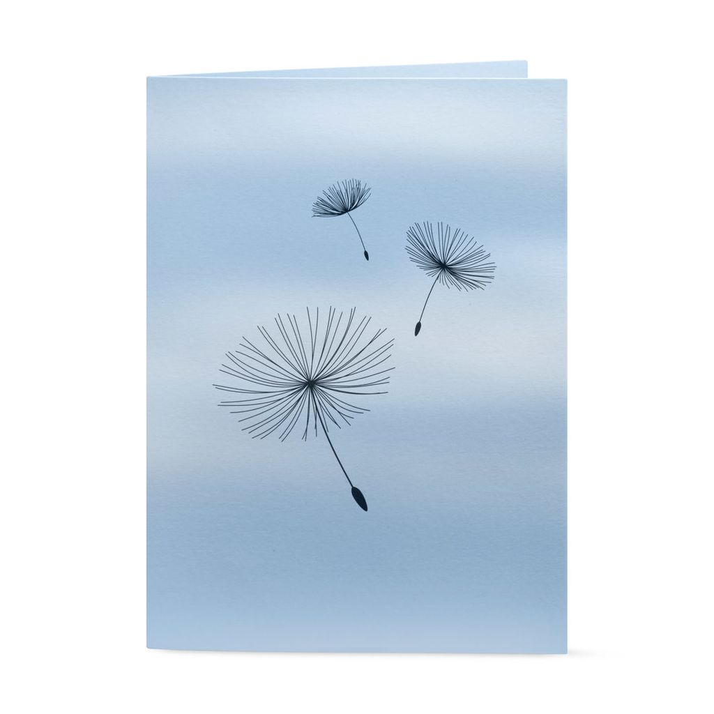 Close your eyes and make a wish!  These dandy cards reveal a pop-up surprise. colossalshop.com/products/dande…