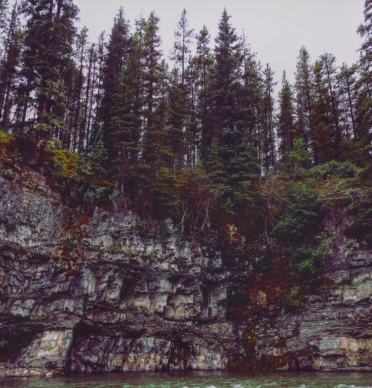 brotherslee's tweet image. Fun week of adventures and fly fishing!! #Nature #healthy #Travel #Exploreoverland #dog #puppy #exploring #Adventure #woods #photograph #photo #pic #picture #forests #trees #love #green #sky #cloud #beautiful #beauty #nice #lifestyle #peace #perfect #followme #Earth #Hiking