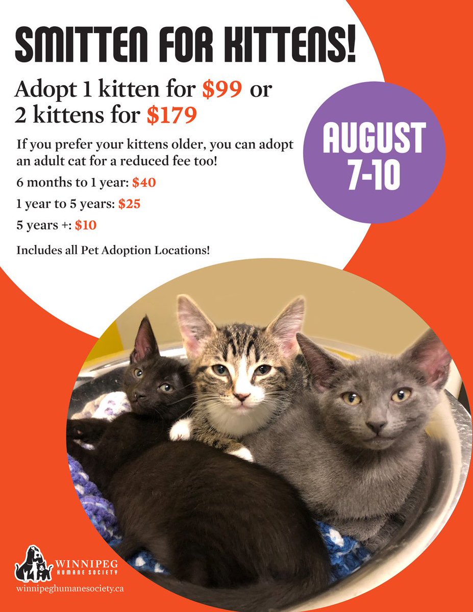 Winnipeg Daily News tweet media