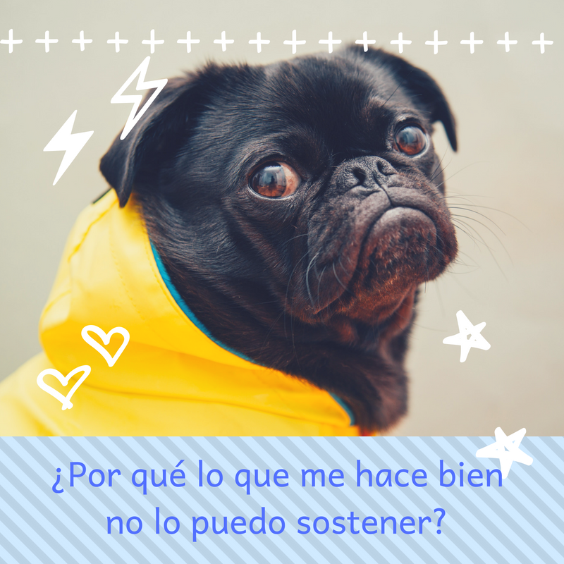 Ahorayoga's tweet photo. Entra a mi blog y enterate : por que lo que me hace bien no lo sostengo? https://t.co/NAhFxhEmCK #yogalalucila #estilodevida #bienestar #antistress https://t.co/UP5RkQcHW3