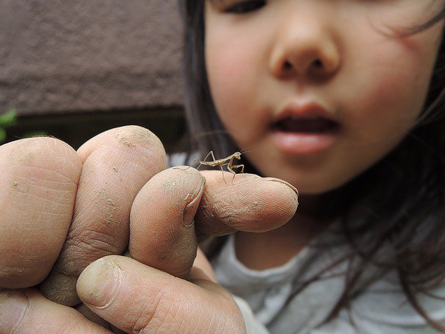 TeachersOutside's tweet photo. Introduce your class to report writing by getting them to observe nature in the world around them. They will head outside to find an animal to produce a report on, gathering their information through close observation and possibly some simple research. - https://t.co/86hIwwyv6M https://t.co/aNAkvjCwFd