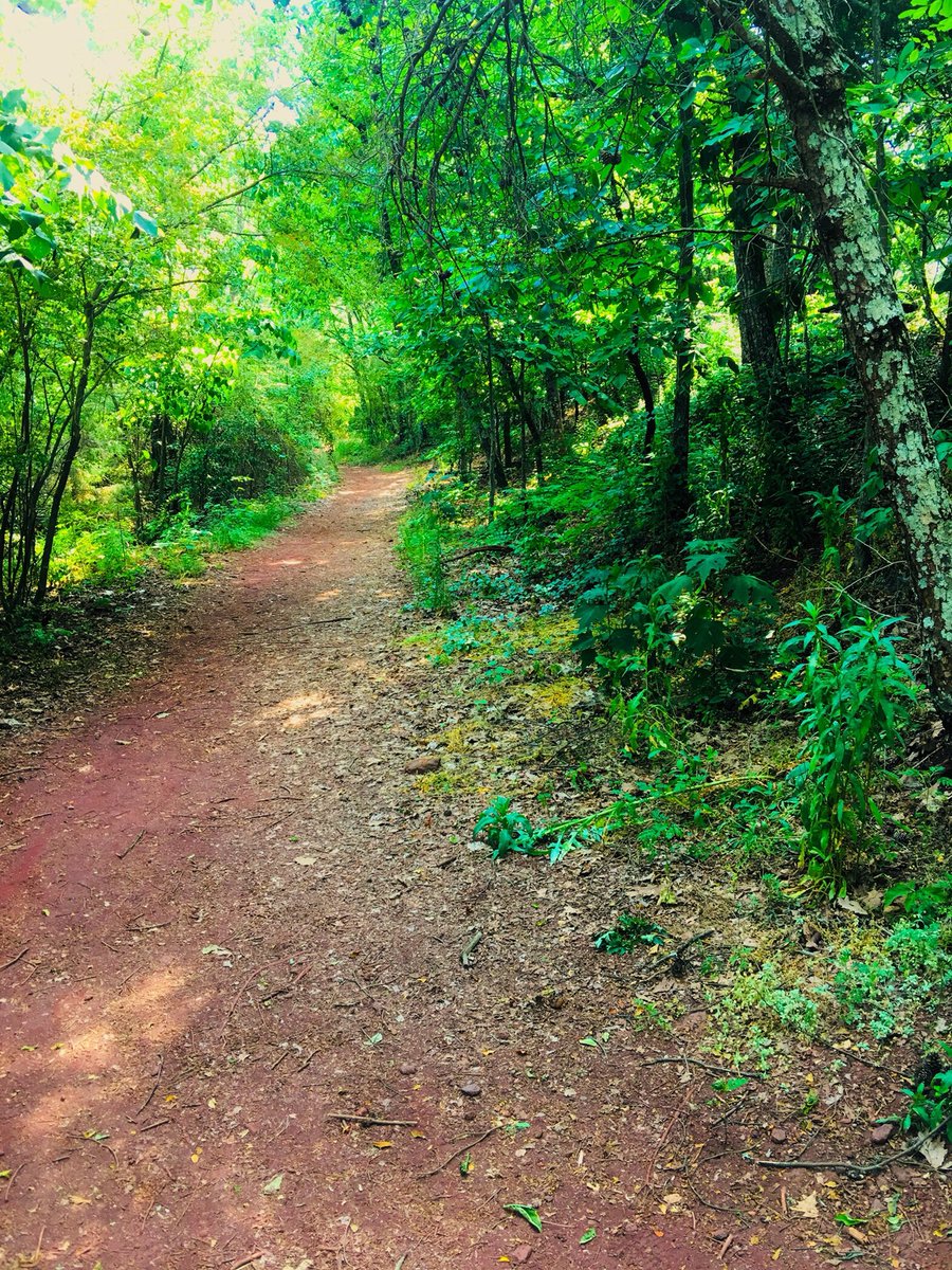 redmountainpark's tweet photo. #Tuesday Night Trails #TNT will meet up today at 5:45pm - for the 6pm run at #redmountainpark. 5 pace groups; #adventure for all!
#alabamaoutdoorsofficial #runbuts #bham #bhamnow #parklife #nonprofit #optoutside #traveltuesday #run #walk #jog #hike #transformationtuesday https://t.co/cDkDU3sUJR