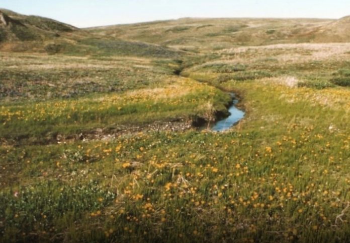 Puebla_En_Linea's tweet image. #Mundo Calentamiento global provocará cambios estacionales en el Ártico 🌎
pueblaenlineawordpress.wordpress.com/2018/08/07/cal…