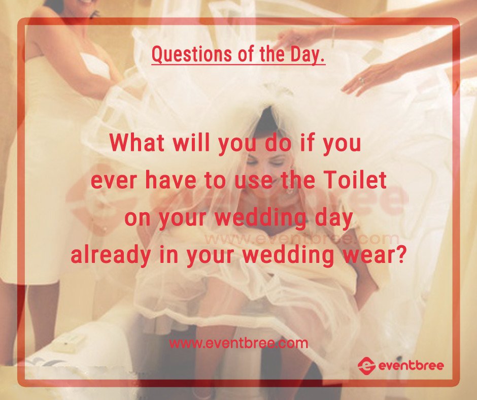 eventbree's tweet photo. let us know what you think and what you would do if you ever have to use the toilet in your wedding attire?
#Weddings #Bride #Eventbree #Love #Weddingdress #Makeup #Hair #Bridesmaid https://t.co/HO9IKgK5ib
