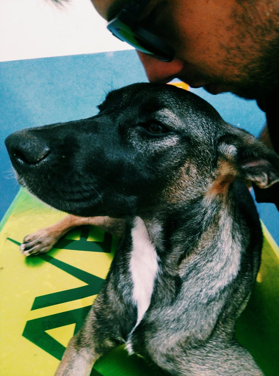 innuendisoloio's tweet photo. Hari ricovera nell'ospedale per cani... Ti accarezza l'anima...
#canuzzi #palermo https://t.co/l4ZenZXAvc