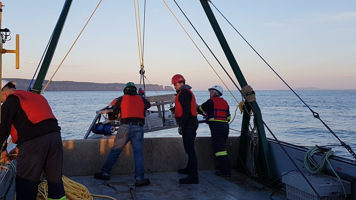 Net Zero Atlantic tweet media