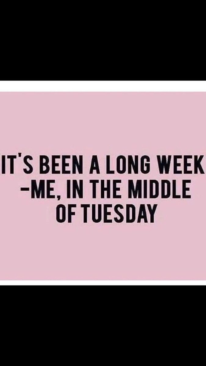💷GoddessAbs👸🏼💷 tweet media