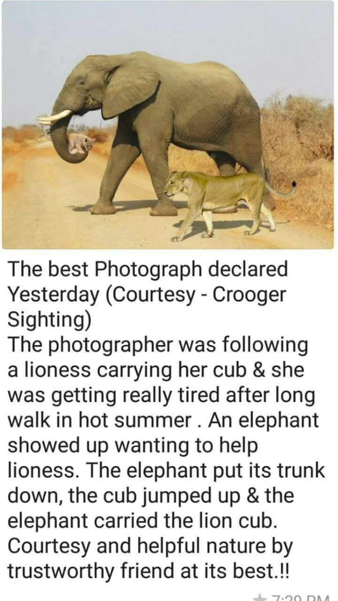 zoftans's tweet image. Nature defined!