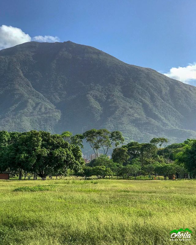 avilaprintpro's tweet photo. Hoy, así empieza el día, los verdes que brillan al amanecer, a cielo despejado y vista impecable. Lo mejor de Caracas: De cualquier lugar que la mires, siempre sale bien para las fotos, martes en el Parque Del est💙💚⛰ #ParquedelEste #CaracasTeQuiero #Caracas451 #Ccs451 #Carac… https://t.co/B5MXJMURDJ