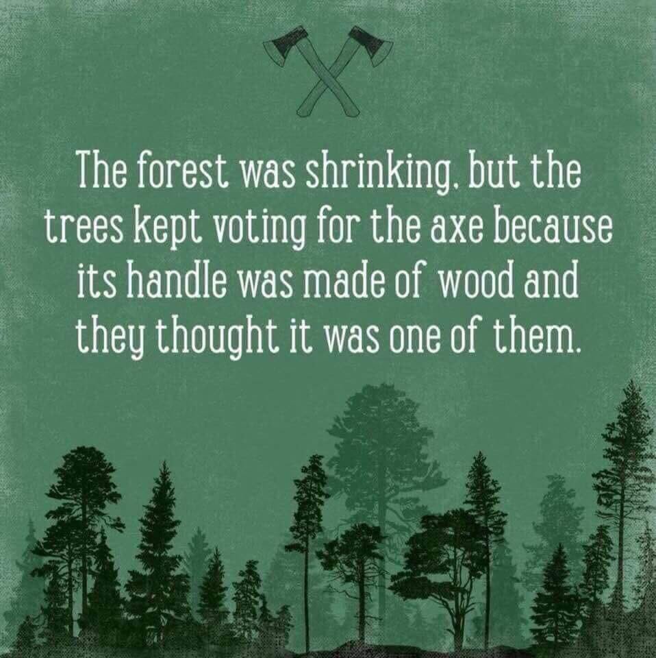 #PrimaryElection ballots are due today! Remember in the #WAprimary the top 2 vote receiving candidates advance to the general election regardless of party affiliation. So if you don't want to choose between two liberals come November you better vote in August! #PrimaryDay