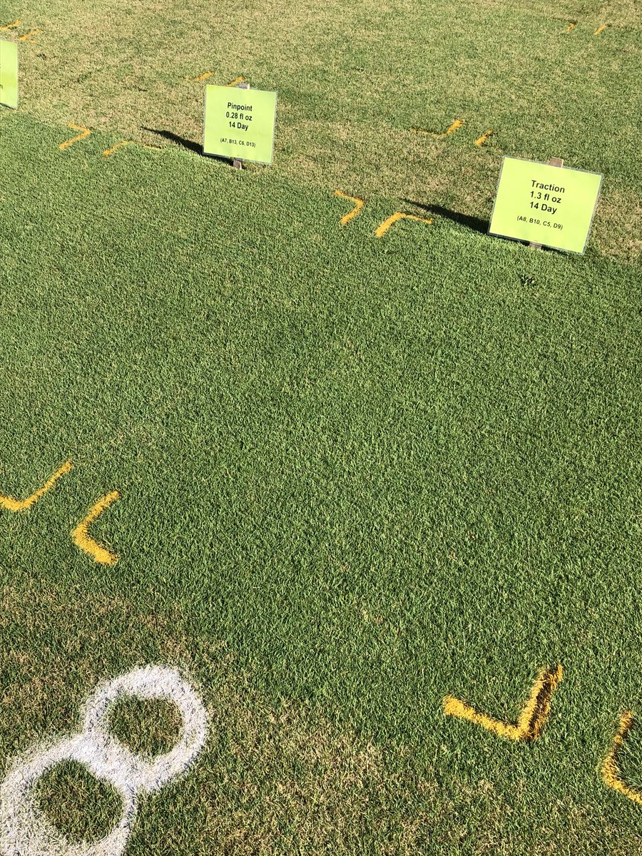 Attending the Ohio State turf field day. Heavy pressure for Fairway conditions, traction and pinpoint holding strong under 14 day programs. All 21 day programs struggling.