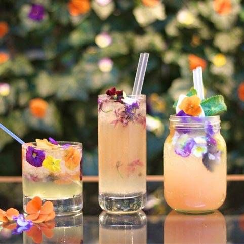 tgcaravan's tweet photo. Don’t save beautiful blossoms for fancy occasions! Up your presentation game with a few blooms in your cocktails! #tipsytip #tipsytuesday #mobilebar https://t.co/XNRdzzeoT1