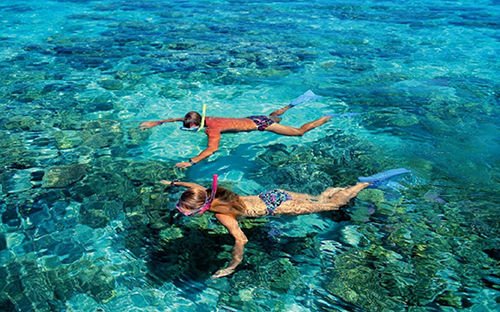 Life looks beter underwater! Escape to Grand Cayman this winter 🐠🐚
#grandcayman #snorkeling #crystalclearwater