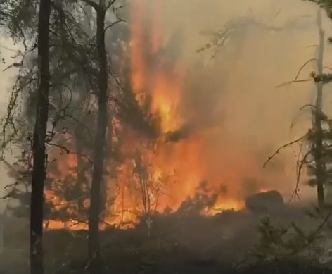 Muskoka411's tweet image. Parry Sound 33 Measures 11,362 Hectares And Is Not Yet Under Control muskoka411.com/start/parry-so… 
#parrysound33 #forestfire