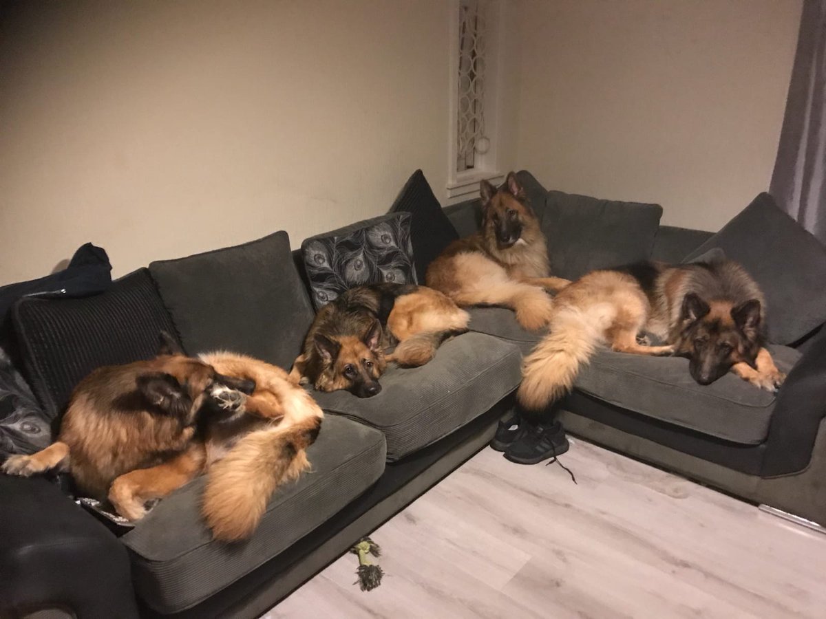 macphee1981's tweet image. 